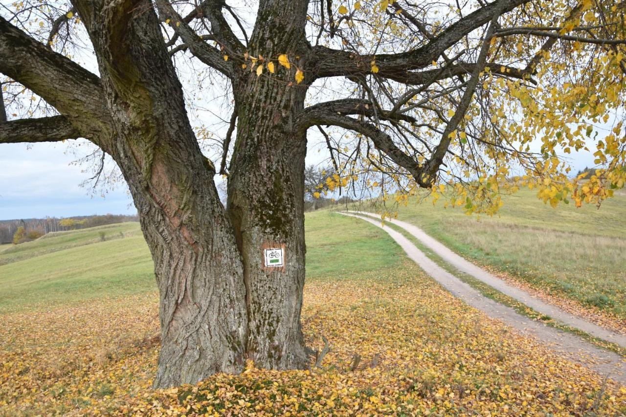 Wigierski Park Narodowy Suwałki Exteriér fotografie