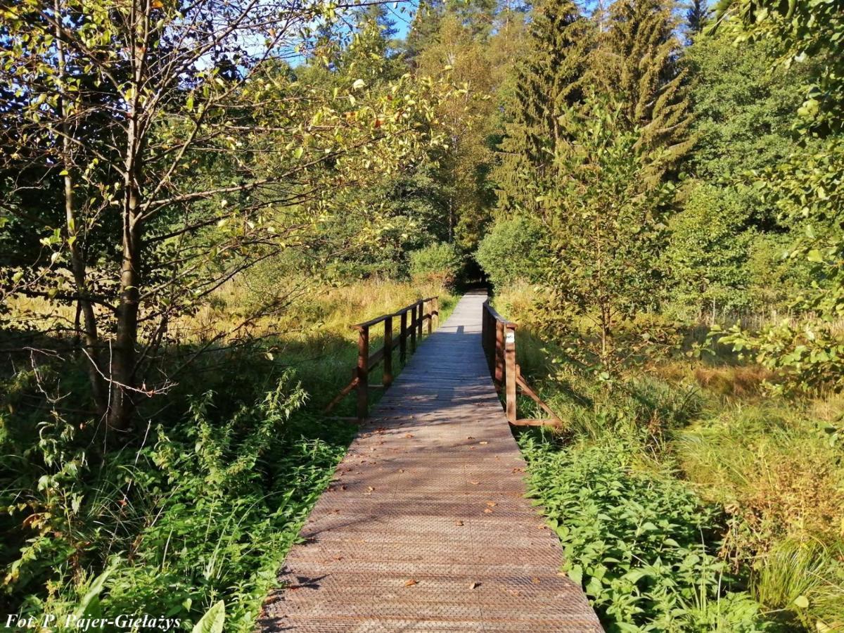 Wigierski Park Narodowy Suwałki Exteriér fotografie